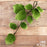 High-quality green rose leaves spray cake decorations by Caljava ready to use for floral arrangements