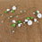 Three different sizes of long stem white sweet pea sugar flower fillers arranged for tiered cake decorating.
