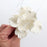 Close-up of a handcrafted 3.25-inch white Cora peony sugar flower showing detailed textured petals.Caljava