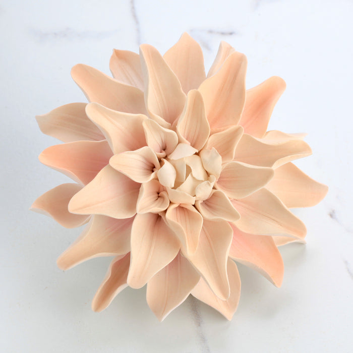 Gumpaste Dahlia Sugarflowers are perfect for cake decorating fondant wedding cakes & cupcakes. Handmade cake toppers from gumpaste/fondant. Wholesale sugarflower. Caljava Bakery Supplies