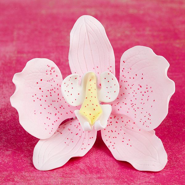 Phalaenopsis Orchids in Light Pink are gumpaste sugarflower cake decorations perfect as cake toppers for cake decorating fondant cakes and wedding cakes. Caljava wholesale cake supply.