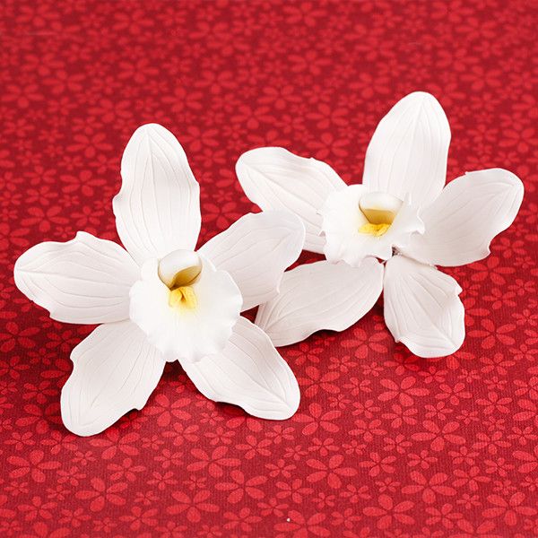 Close-up of a handcrafted 4-inch white Cymbidium orchid sugar flower showing realistic petal texture and lip details.
