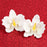 Close-up of a handcrafted 3.5-inch white Moth Orchid sugar flower showing realistic petal texture and center details.