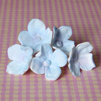 Blue Hydrangeas (single) — CaljavaOnline