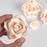Elegant ivory sugar rose cake toppers arranged on a tiered fondant wedding cake for a timeless look.