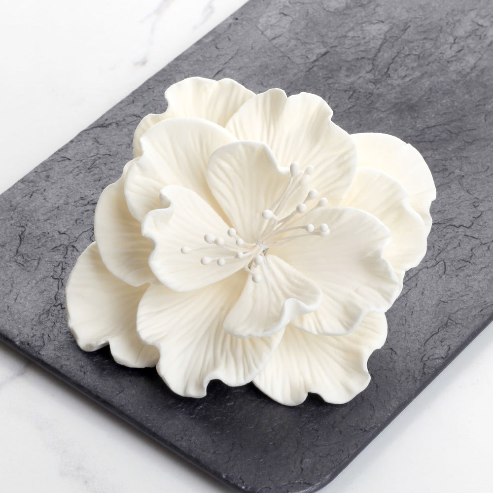 Box of 9 premade large white Cora peony gumpaste sugar flowers for cake decorating. Caljava