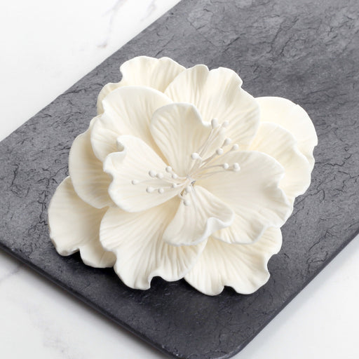 Box of 9 premade large white Cora peony gumpaste sugar flowers for cake decorating. Caljava