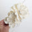 Handcrafted large white Cora peony sugar flowers decorating a multi-tiered wedding cake by Caljava