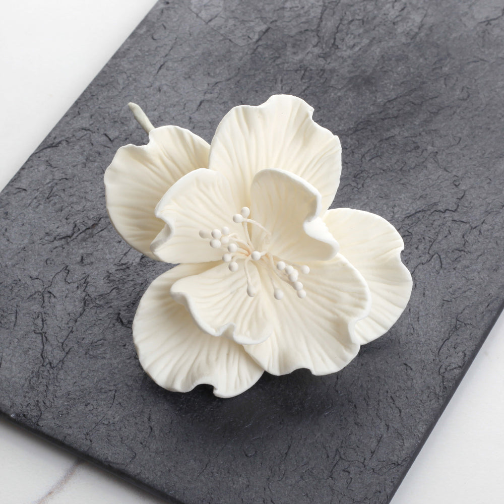 Box of 12 premade medium white Cora peony gumpaste sugar flowers for cake decorating.  Caljava