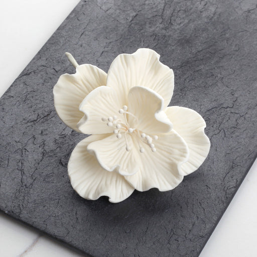 Box of 12 premade medium white Cora peony gumpaste sugar flowers for cake decorating.  Caljava