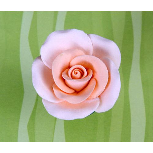 Medium Tea Roses - Peach
