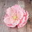 Pink Gumpaste Large Peony sugarflower cake toppers perfect for cake decorating rolled fondant wedding cakes and birthday cakes.  Wholesale cake supply & sugarflowers.