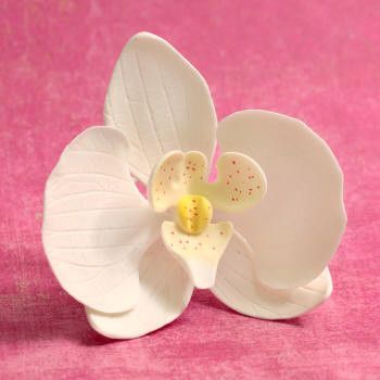 Orchid Sugar flower cake toppers great for cake decorating your own cake. Edible cake topper made from gum paste used for making your cake designs. 