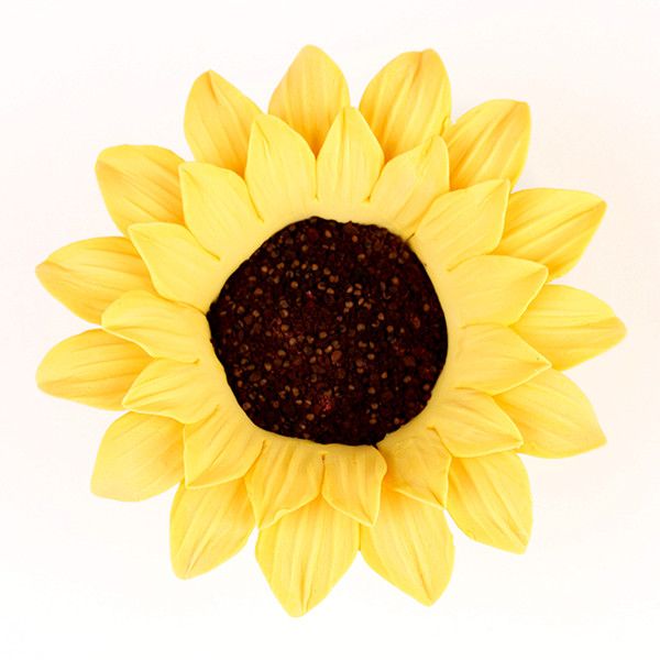 view of pre-wired medium sunflower gumpaste flower showing bendable wired stem for easy positioning on tiered cakes.