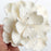 Pre-wired bendable stem on a large white Cora peony gumpaste flower for easy positioning on cakes.