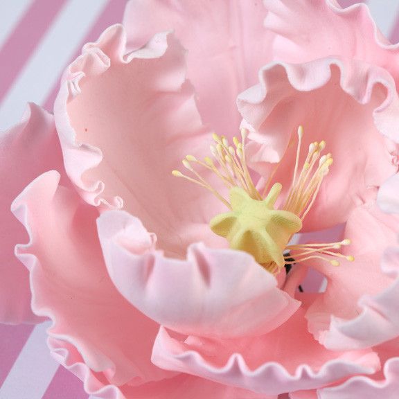 Pre-wired pink peony sugar flower designed for cake shops and production bakeries by Caljava