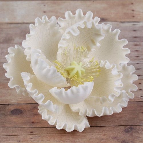 Pre-wired white peony sugar flower designed for cake shops and production bakeries by Caljava