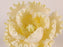 Professional yellow peony sugar flower for high-end cake decorating and weddings wholesale cake supply by Caljava