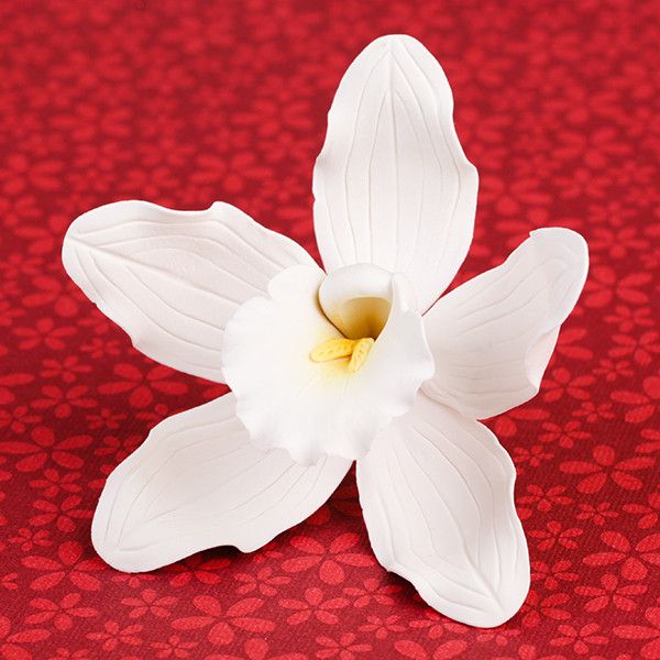 Single white Cymbidium orchid gumpaste sugar flower ready to place as a wedding cake topper. Caljava wholesale cake supply.