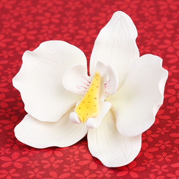 Single white Moth Orchid gumpaste sugar flower ready to place as a cake topper.