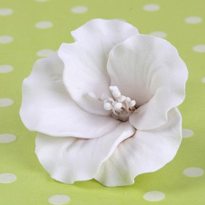 Azaleas - White