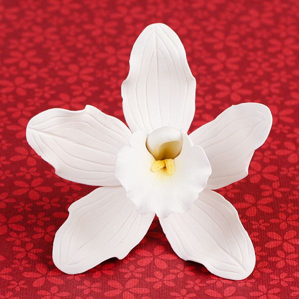 Cymbidium Orchids in White are gumpaste sugarflower cake decorations perfect as cake toppers for cake decorating fondant cakes and wedding cakes. Caljava wholesale cake supply.