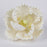 White peony sugar flower cake topper applied to a smooth fondant wedding cake by Caljava