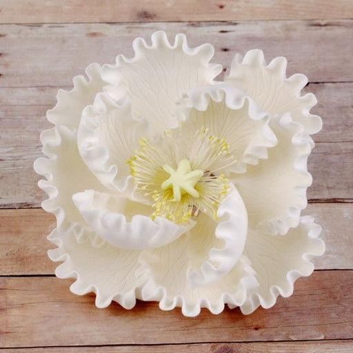 White open gumpaste peony handmade cake decoration.  Gumpaste flower.  Caljava