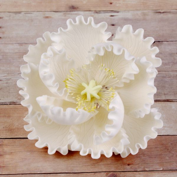 White open gumpaste peony handmade cake decoration.  Gumpaste flower.  Caljava